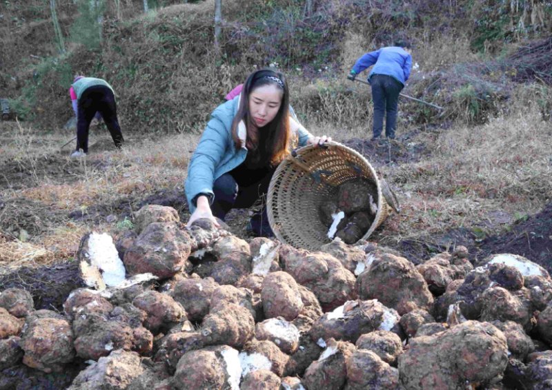 求职路上指路灯:旺苍人才网与您同行