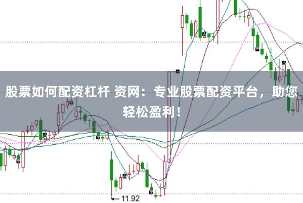 股票如何配资杠杆 资网：专业股票配资平台，助您轻松盈利！