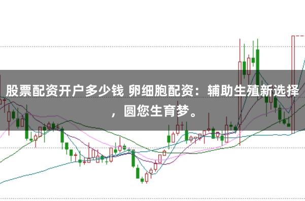 股票配资开户多少钱 卵细胞配资：辅助生殖新选择，圆您生育梦。