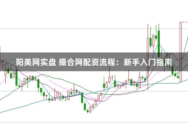 阳美网实盘 撮合网配资流程：新手入门指南