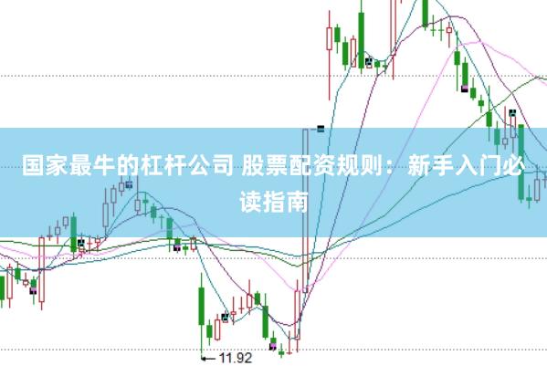 国家最牛的杠杆公司 股票配资规则：新手入门必读指南