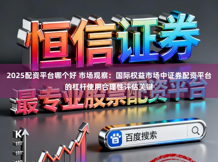 2025配资平台哪个好 市场观察：国际权益市场中证券配资平台的杠杆使用合理性评估关键